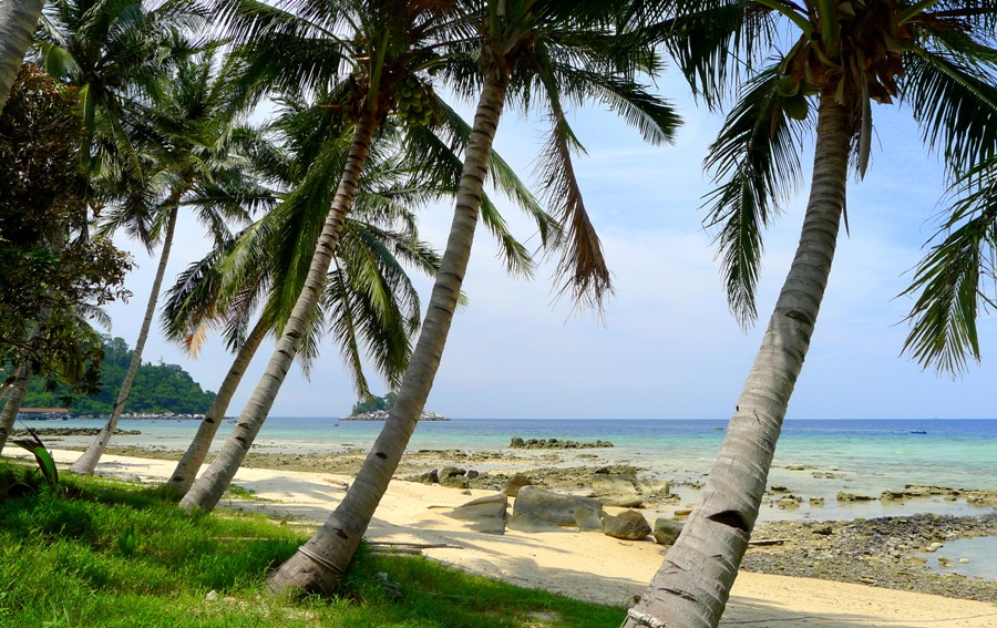 Plaża Salang