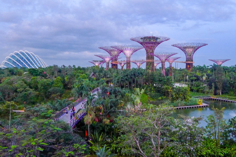 Zwiedzanie Singapuru - Gardens by the Bay