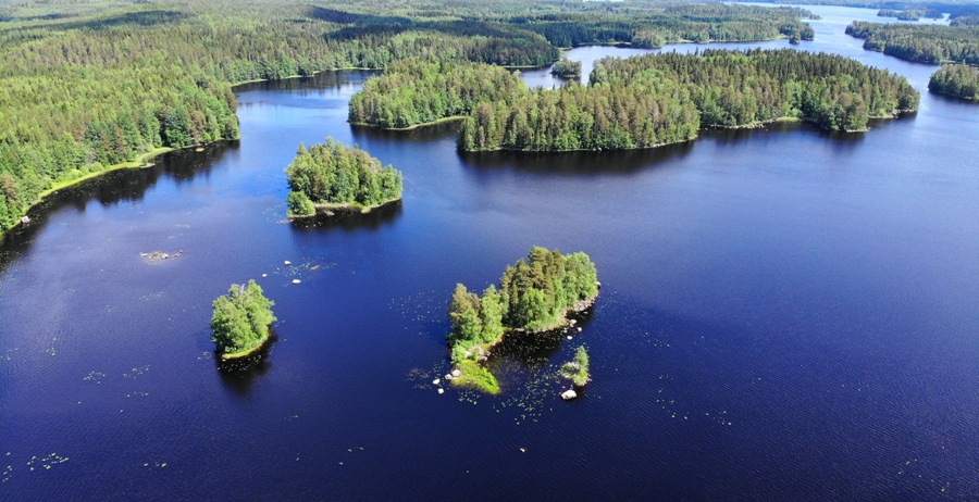 Trekking w Finlandii - Liesjärvi