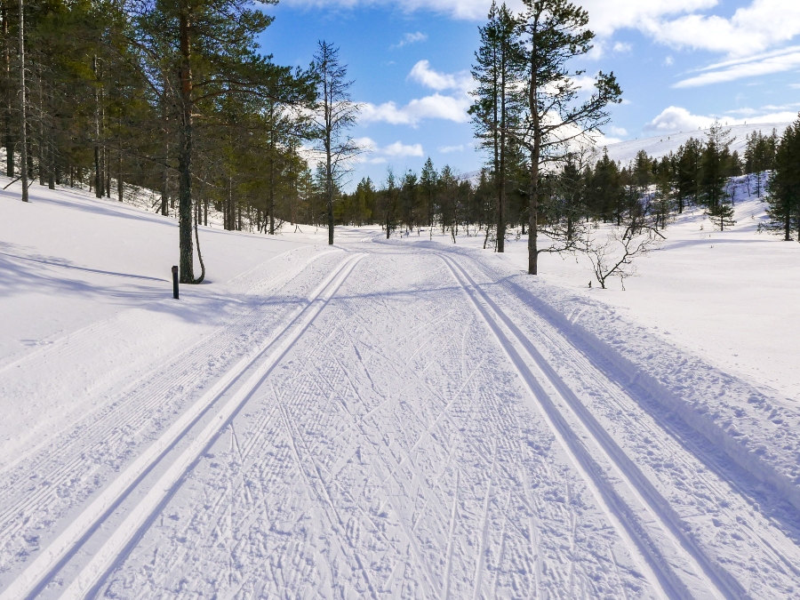 Narty biegowe w Finlandii - Laponia
