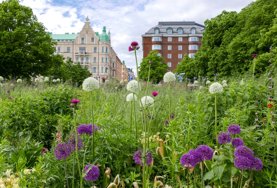 Helsinki - Merisatama